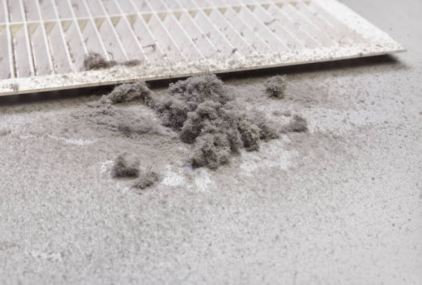 Best Local Air Duct Cleaning Services  in Massanetta Springs, VA