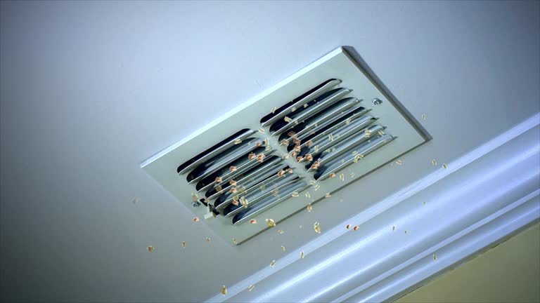 Best HVAC Air Duct Cleaning  in Massanetta Springs, VA