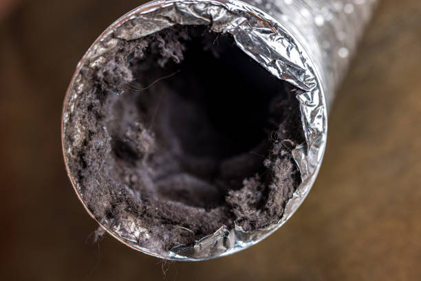Best Local Air Duct Cleaning Services  in Massanetta Springs, VA